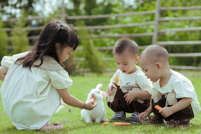 Picnic